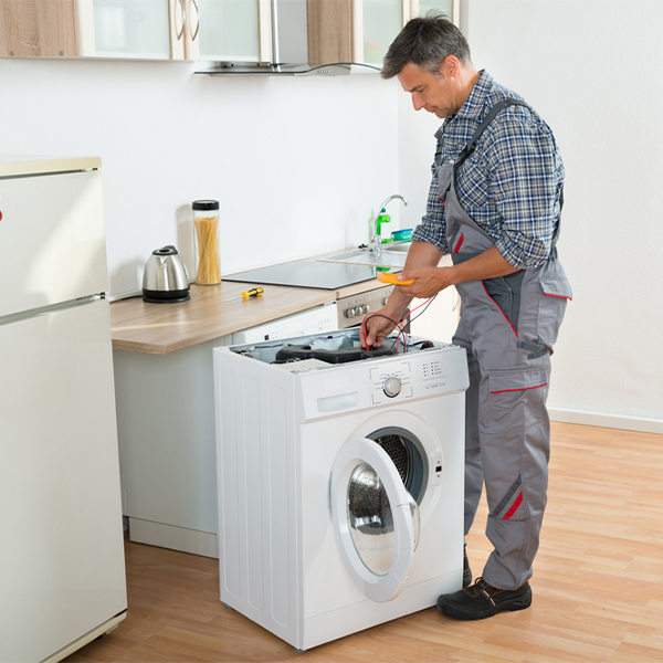 what are common issues that can arise with a washer in Shiawassee County Michigan